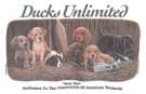 Ducks Unlimited T-Shirts - Youth Ts